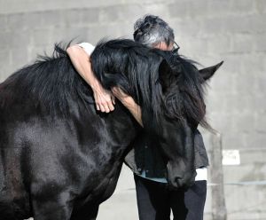 Horse-human interaction (Photo via Wikipedia)